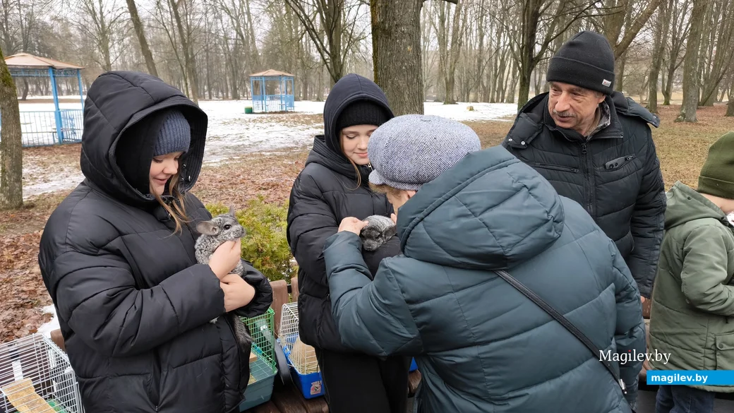 2.03.2025. Бобруйск. Праздник Масленицы в городском парке культуры и отдыха