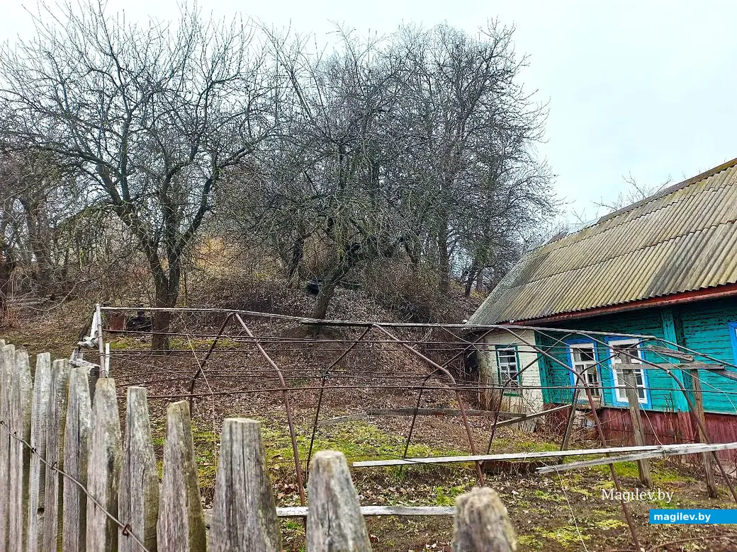 05.03.2025, Могилев, Струшня.