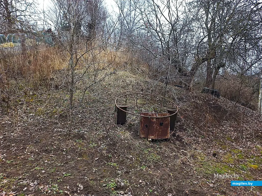 05.03.2025, Могилев, Струшня.