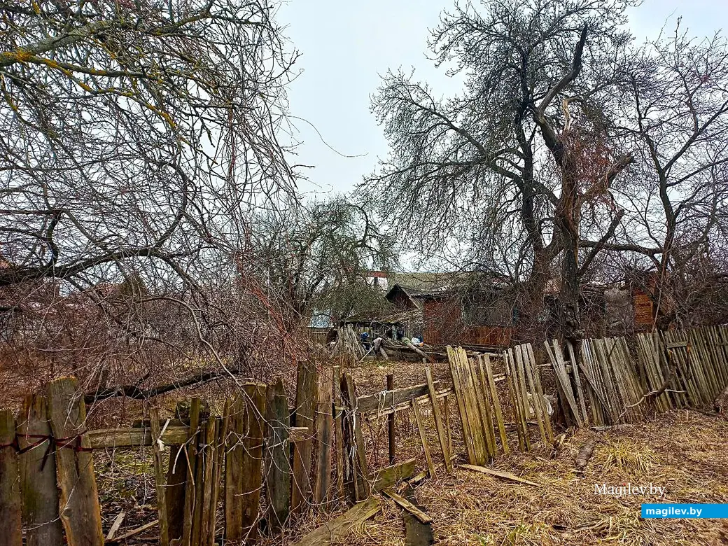 05.03.2025, Могилев, Струшня.