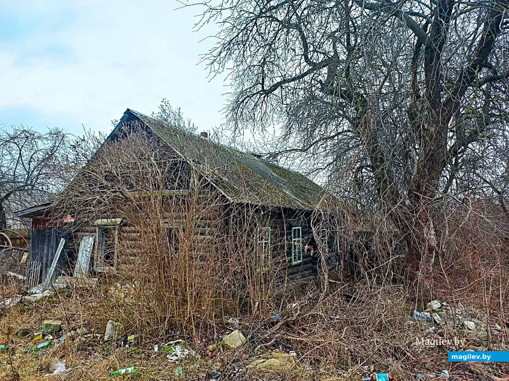 05.03.2025, Могилев, Струшня.