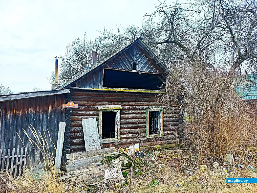05.03.2025, Могилев, Струшня.