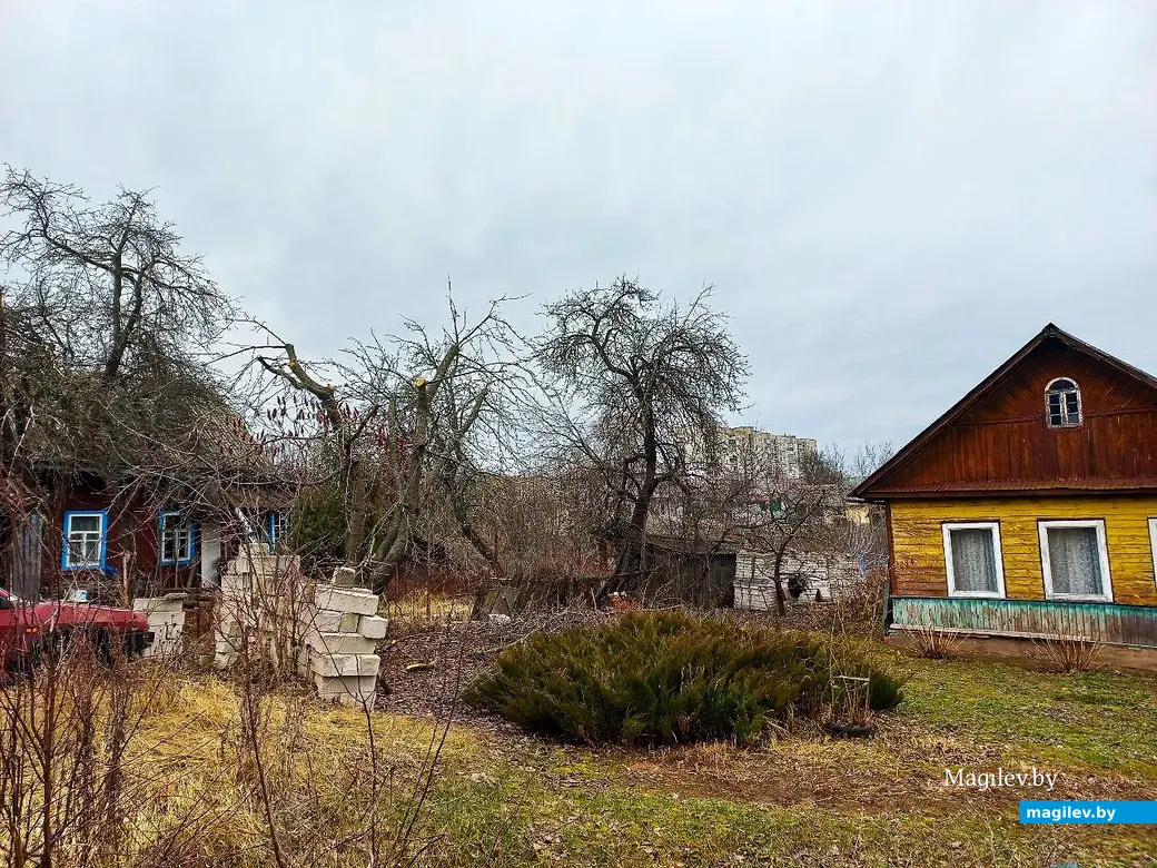 05.03.2025, Могилев, Струшня.
