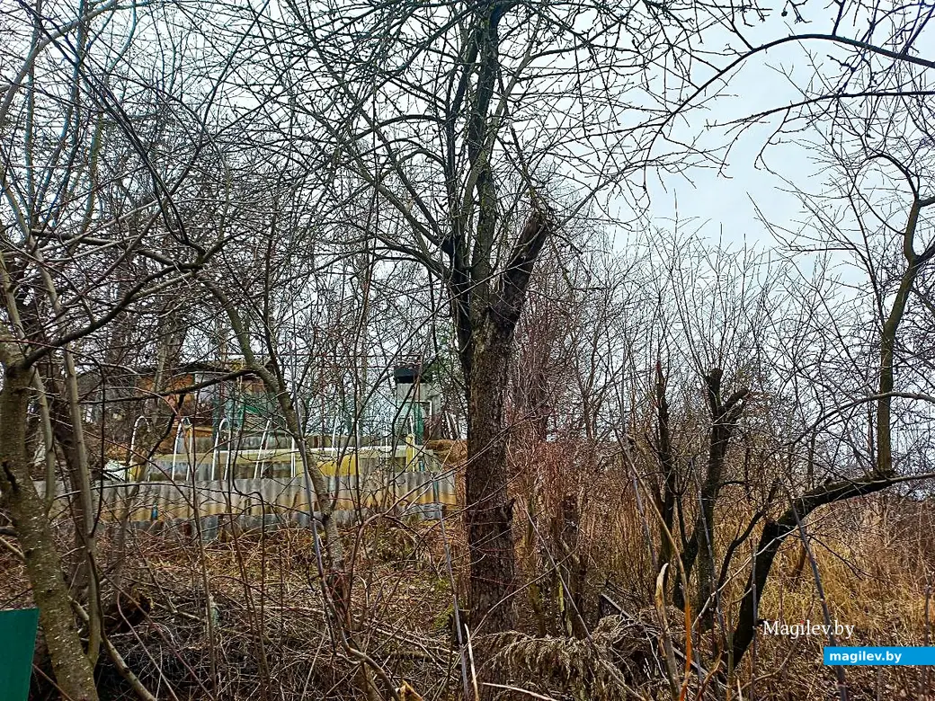 05.03.2025, Могилев, Струшня.