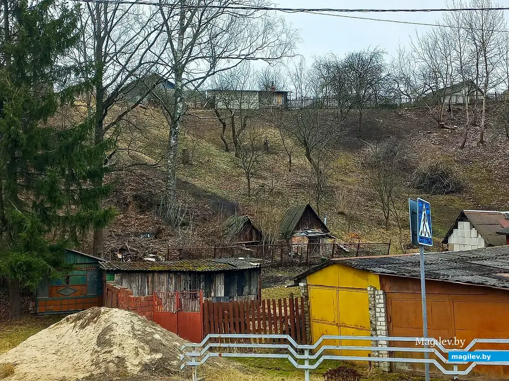 05.03.2025, Могилев, Струшня.