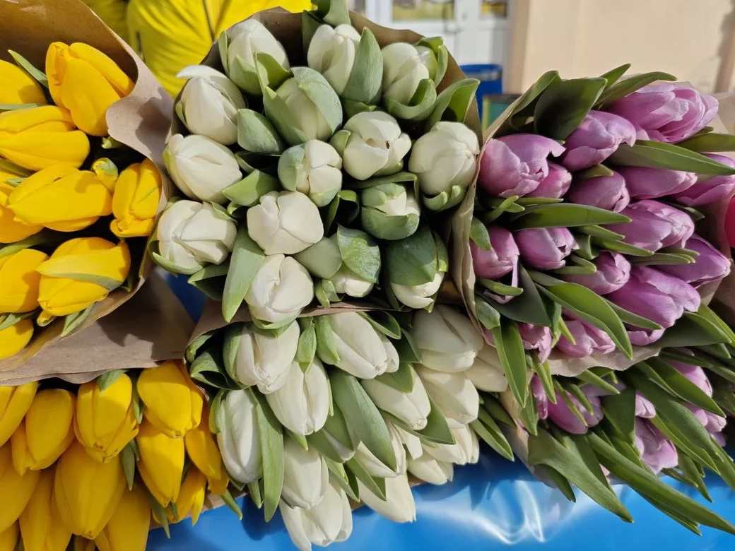 Фото: Галины Покровской, из архива редакции