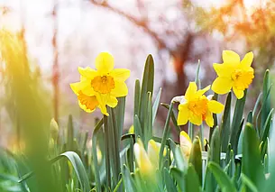 До 18 градусов тепла и порывистый ветер: какой будет погода 7 марта