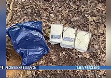 Под Бобруйском задержали семейную пару иностранцев: поставляли в Беларусь психотропы