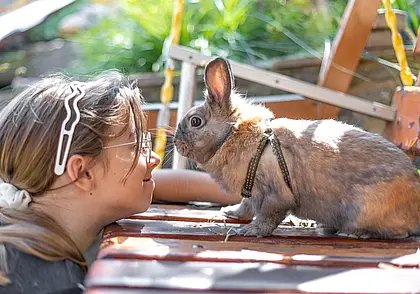 Куда сходить в Могилеве в ближайшие выходные: наш гид