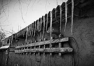 Однажды в Могилеве. «Ну, кто нам скажет, что приходит весна?»