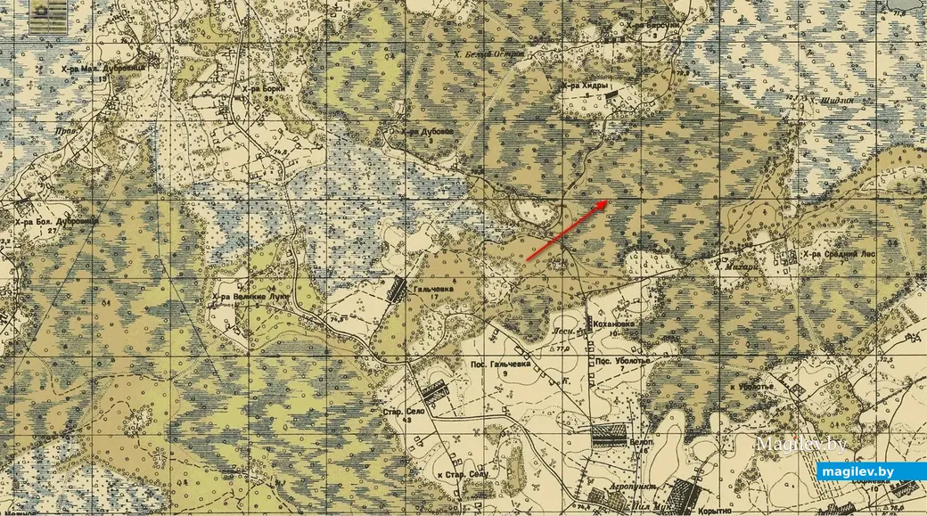 Верстовая карта начала 20 века. Стрелкой отмечено место, где находится Проща.