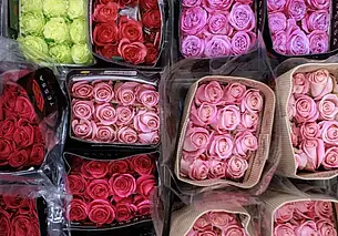 Беларусь вошла в топ-3 поставщиков цветов в Россию