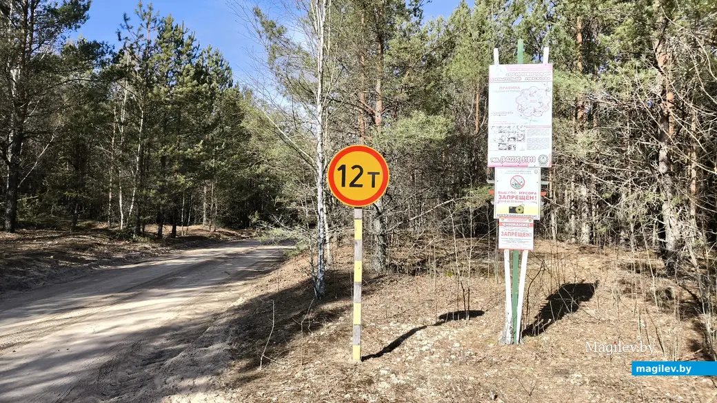 5.03.2025. Осиповичский район, урочище Проща. Храм в честь иконы Божией матери «Живоносный источник».