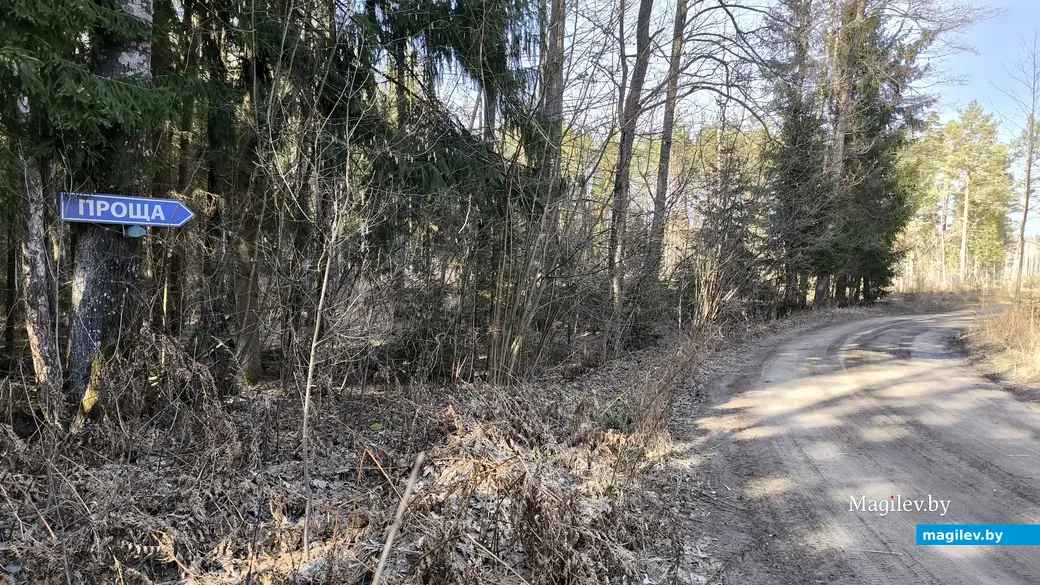 5.03.2025. Осиповичский район, урочище Проща. Храм в честь иконы Божией матери «Живоносный источник».