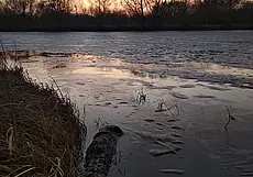 Готовимся к возвращению холодов: прогноз погоды на неделю с 10 по 16 марта