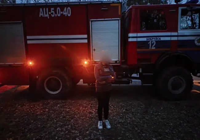 В Бобруйском районе женщина заблудилась в лесу: помогли спасатели