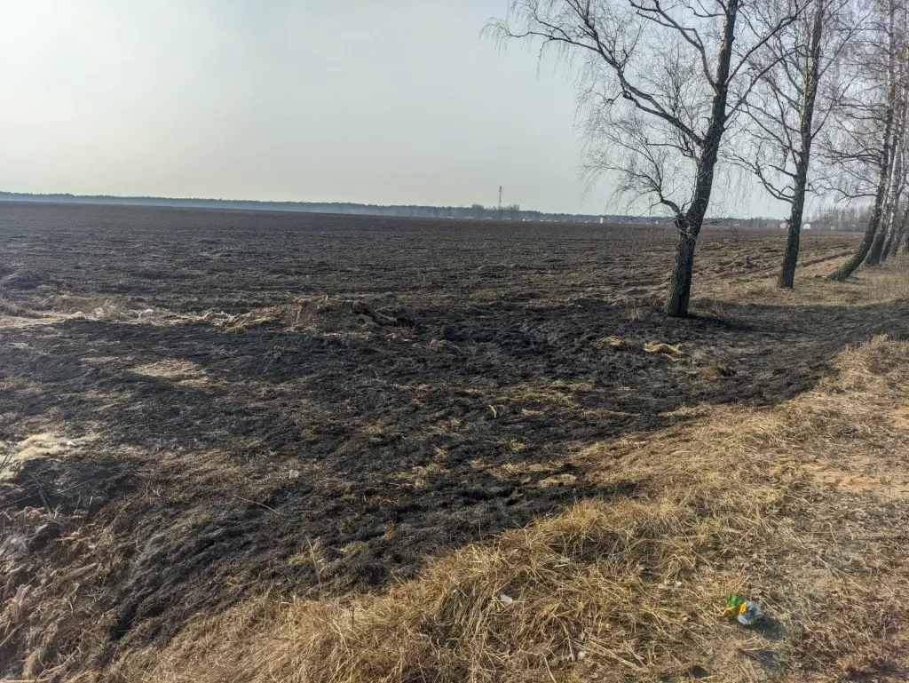 9.03.2025 г. Бобруйский район. Фото: Могилевское областное УМЧС