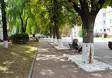 «Все, дорогая, пришел тебе конец…» Жизнь глазами могилевчан