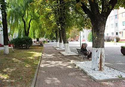 «Все, дорогая, пришел тебе конец…» Жизнь глазами могилевчан