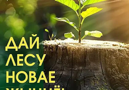 Акция «Дай лесу новае жыццё!» стартует в Беларуси 21 марта
