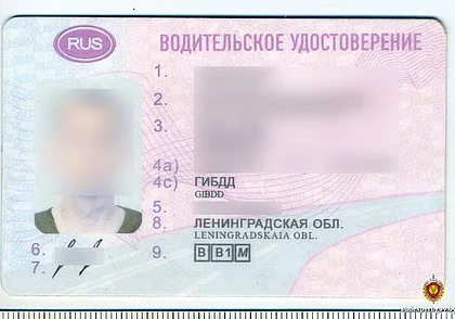 Могилевчанина лишили прав, а он не растерялся и купил новые. Поддельные