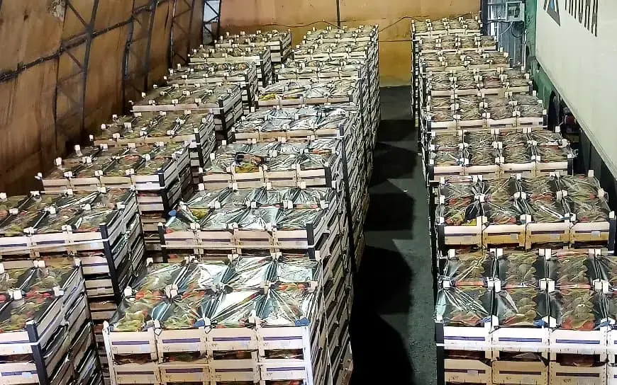 Фото: РОссельхознадзор