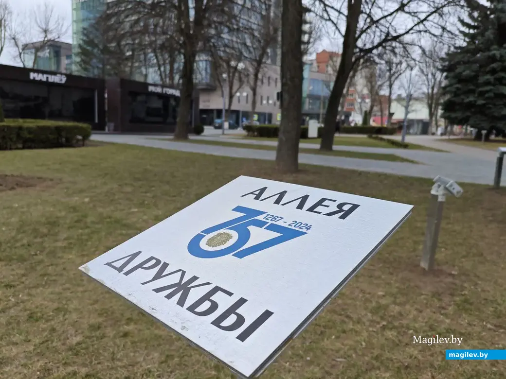 13 марта 2025 года. Могилев. Арт-объект . Лев. Улица Первомайская.