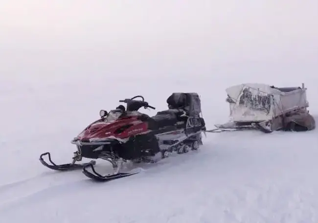 Двое детей насмерть замерзли в тундре на Ямале