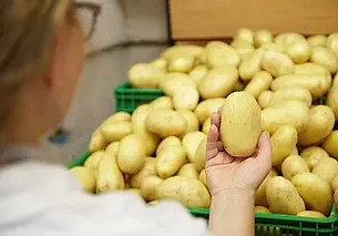 Не можете найти в магазине картошку: звоните на горячую линию КГК