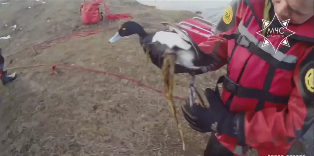 16.03.2025 г. Бобруйск. Фото: МЧС РБ