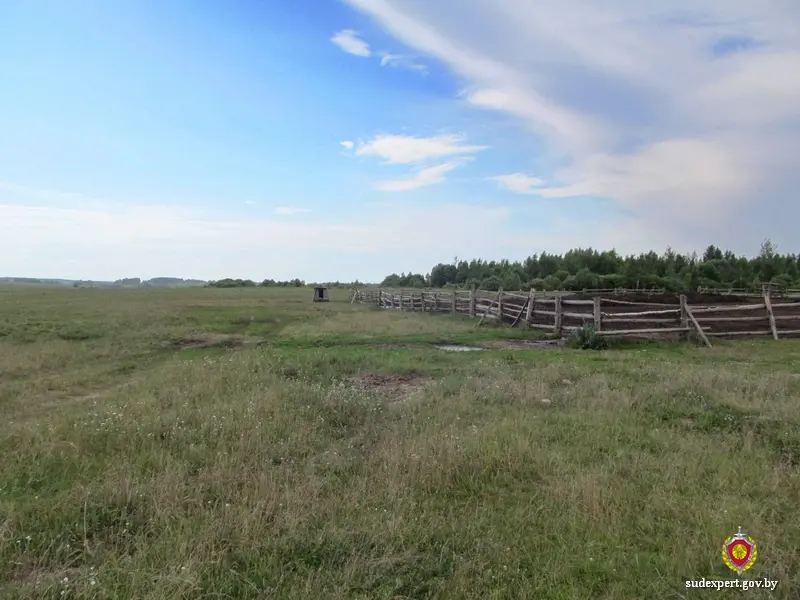 Климовичский район. Прямо с пастбища пропал бык.