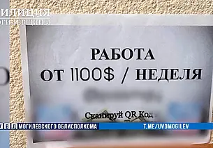 Грозит до 20 лет лишения свободы: могилевчанку задержали за рекламу наркомаркета
