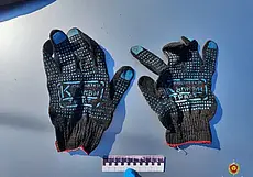 Похитителей быка в Климовичском районе установили по следам крови на одежде