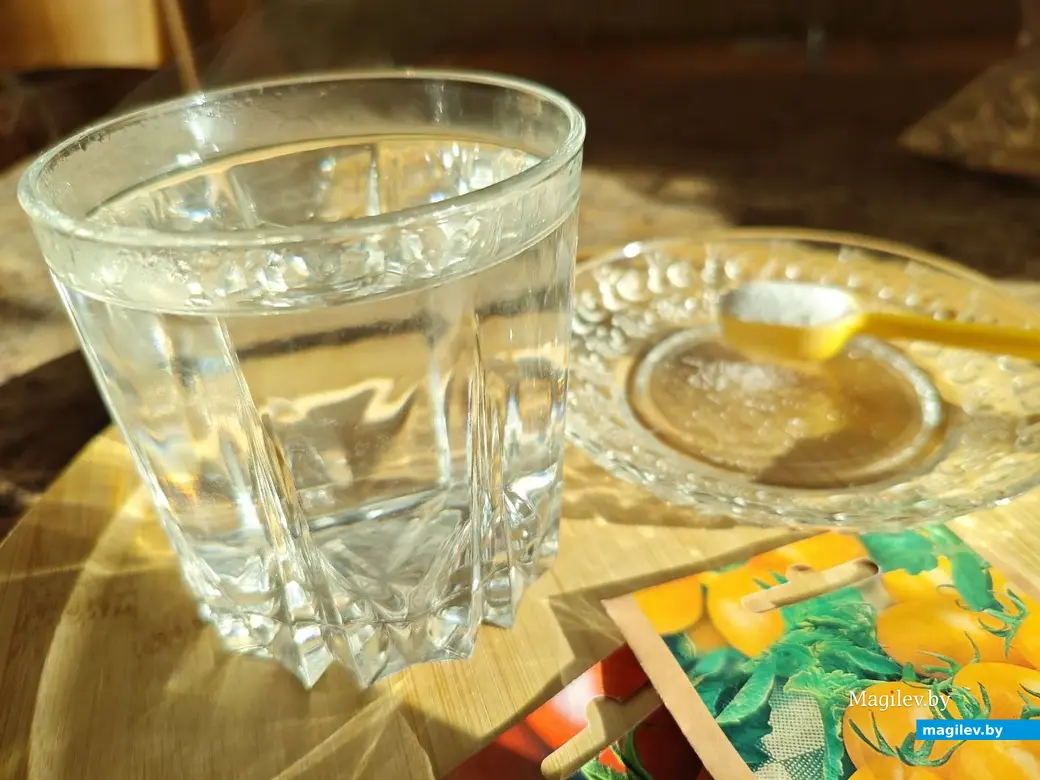 Как проверить семена на всхожесть?