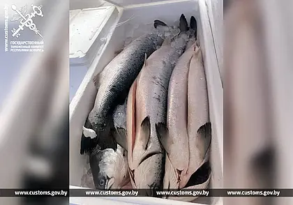 Прописанные в сопроводительных документах ванильные сушки при проверке оказались…лососем