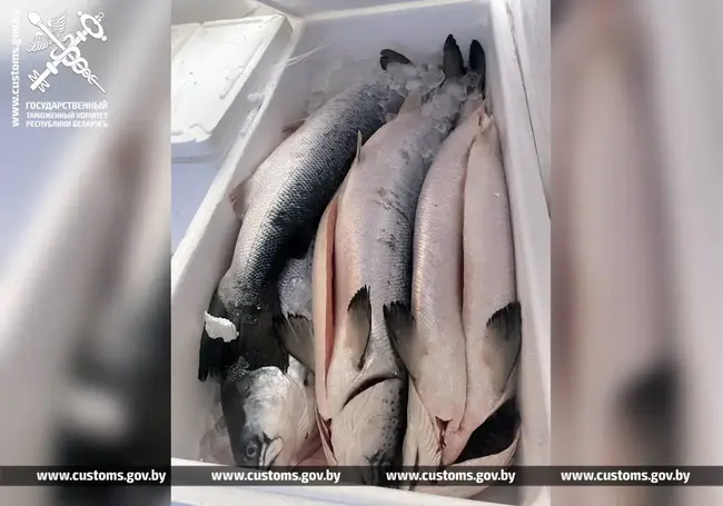 Прописанные в сопроводительных документах ванильные сушки при проверке оказались…лососем