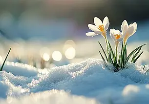 20 марта – День весеннего равноденствия. По некоторым приметам можно узнать, каким будет лето