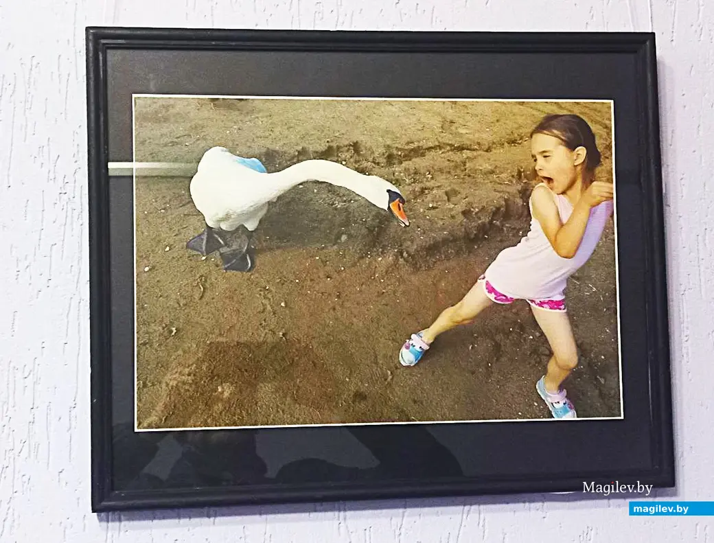 20.03.2025, Могилев, филиал городского Центра культуры и досуга. Выставка Александра Рожина «Есть повод».