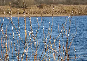 Дожди, мокрый снег и ветер: прогноз погоды на неделю с 24 по 30 марта