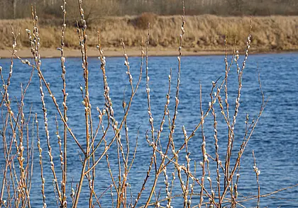 Дожди, мокрый снег и ветер: прогноз погоды на неделю с 24 по 30 марта