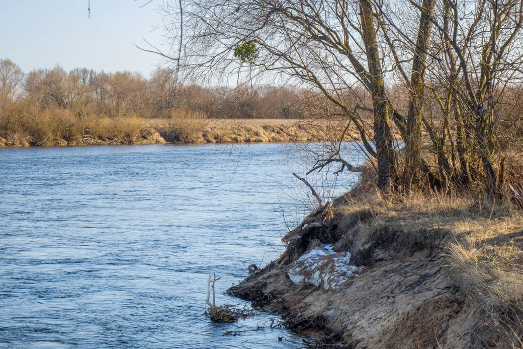 Весна на Березине.