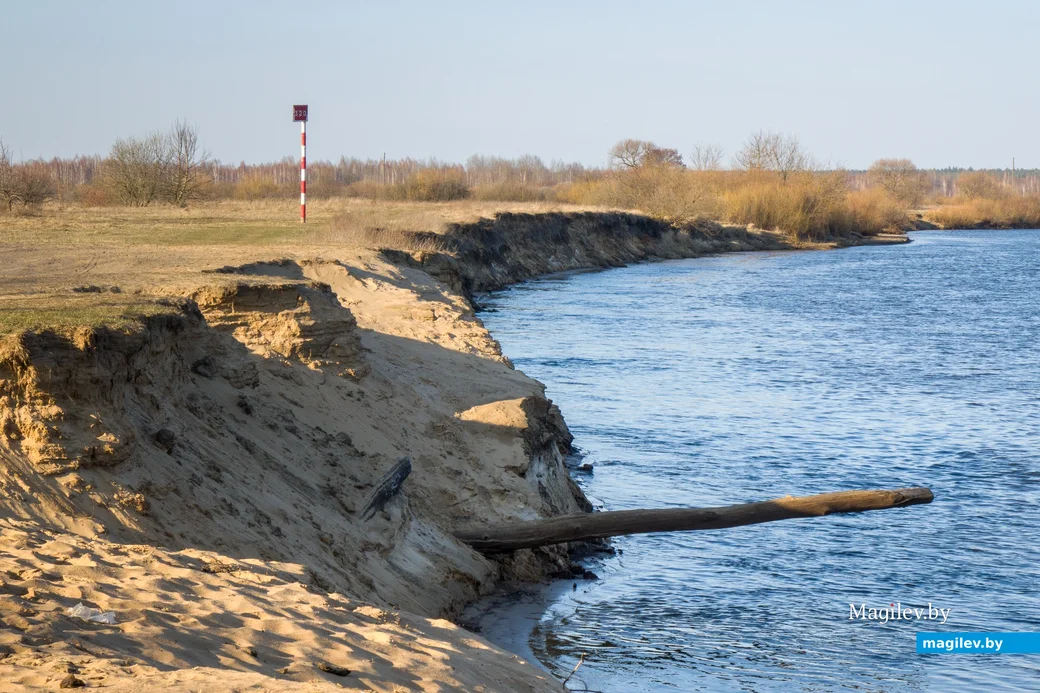 На берегу реки. Фото: Александр Чугуев.