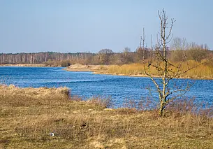 Гольфстрим несет тепло. Прогноз погоды в Беларуси с 14 по 20 апреля
