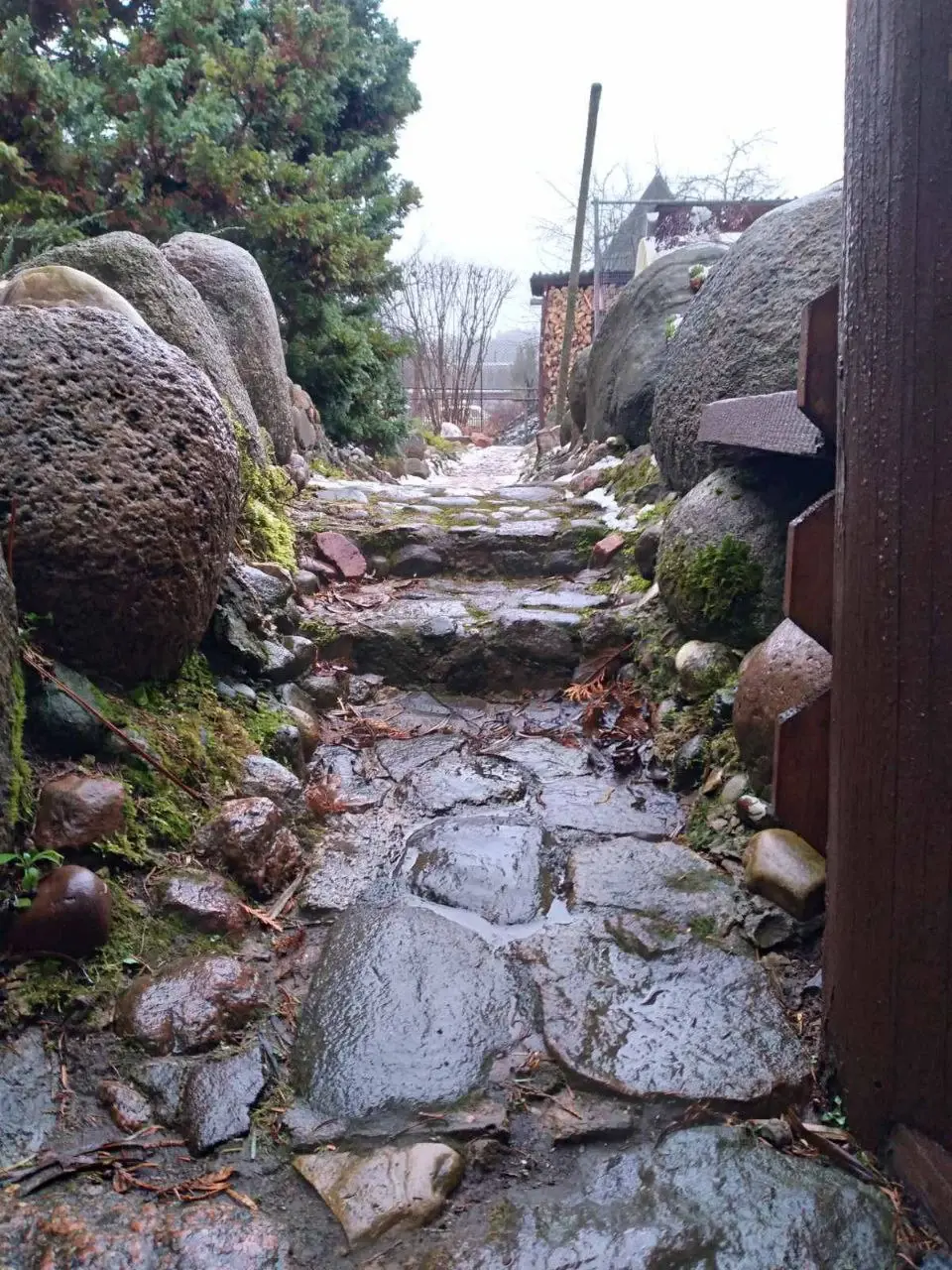 2024 год. Станция Понизов. Могилевская область. Дача Ларисы Суздалевой. Через возвышенность, где растут можжевельники, проходит дорожка со ступеньками из природного