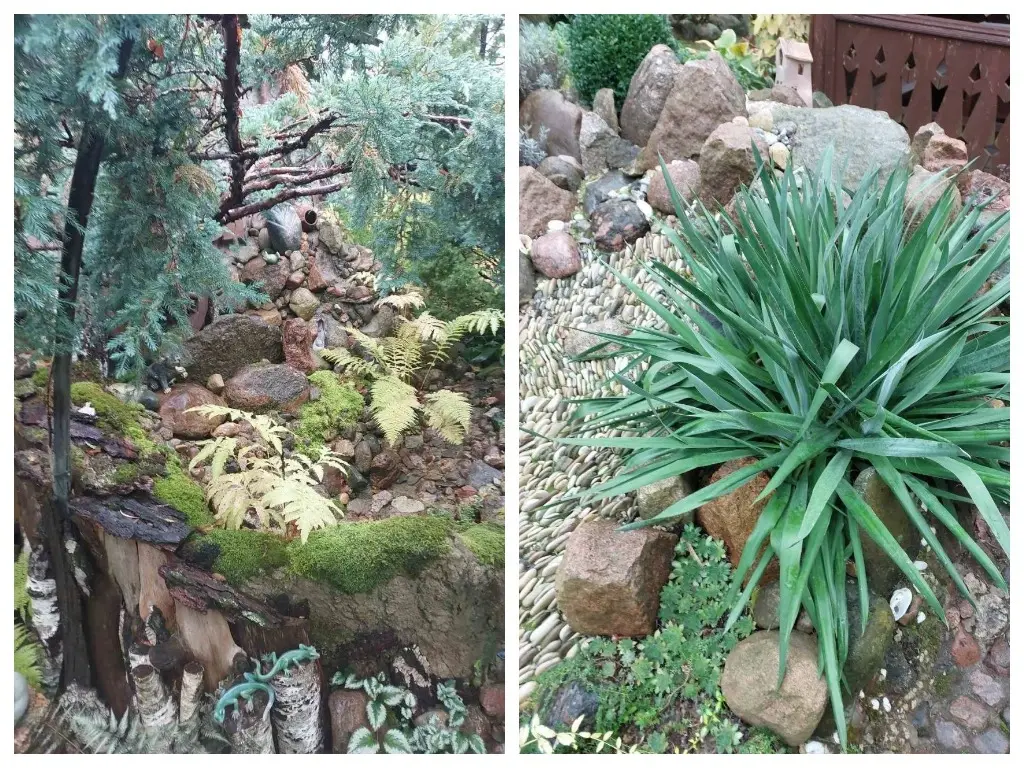 2024 год. Станция Понизов. Могилевская область. Дача Ларисы Суздалевой. На возвышенности сделаны небольшой водопад и сухой ручей.