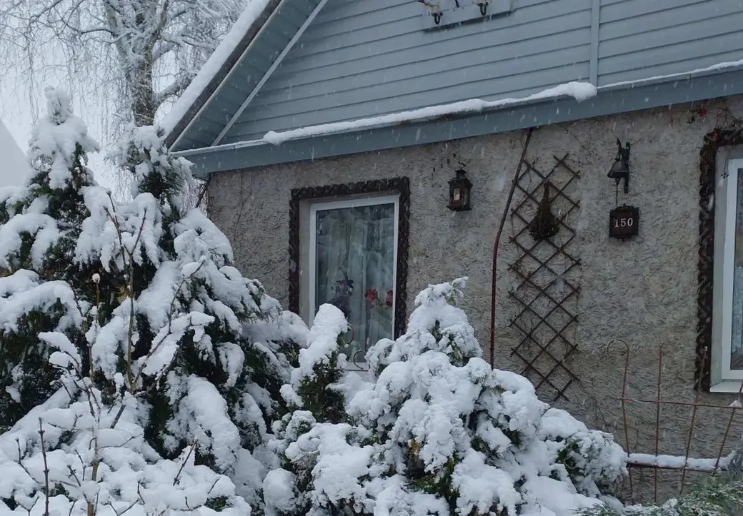 2024 год. Станция Понизов. Могилевская область. Дача Ларисы Суздалевой зимой.