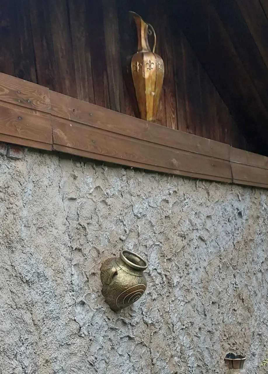 2024 год. Станция Понизов. Могилевская область. Дача Ларисы Суздалевой. Наружная стена бани.