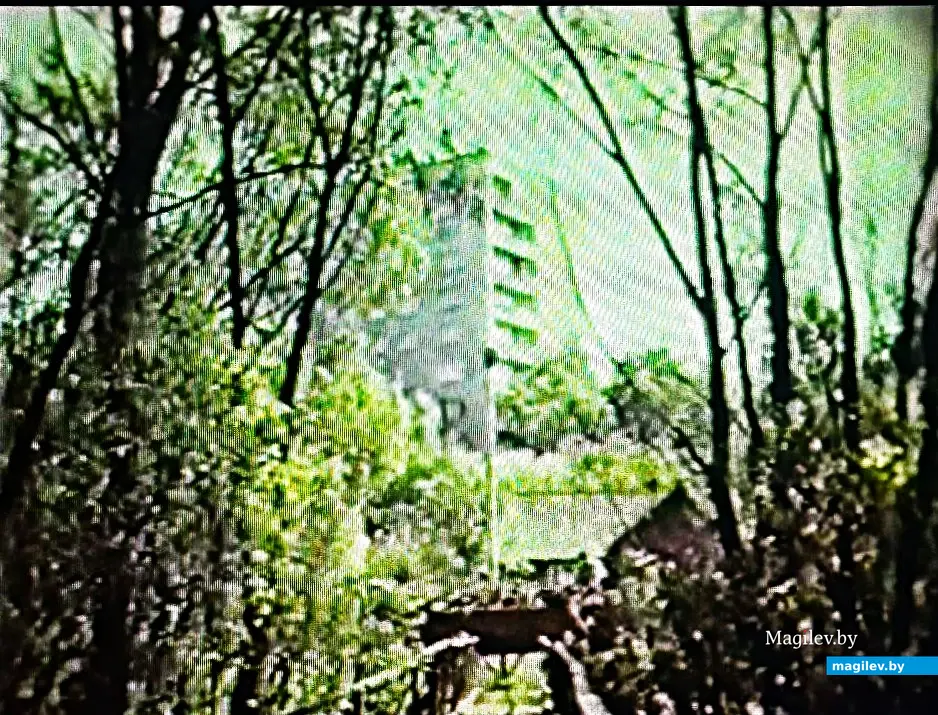 1978 год, Могилев. Скриншот фильма о нашем городе.