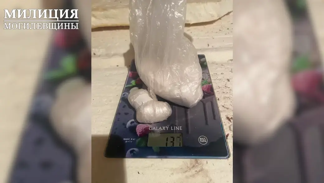 В Могилеве задержан оптовый закладчик наркотиков. Фото: УВД облисполкома