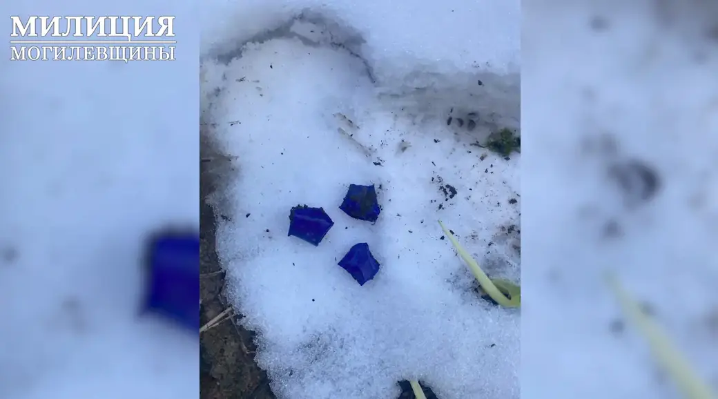 В Могилеве задержан оптовый закладчик наркотиков. Фото: УВД облисполкома